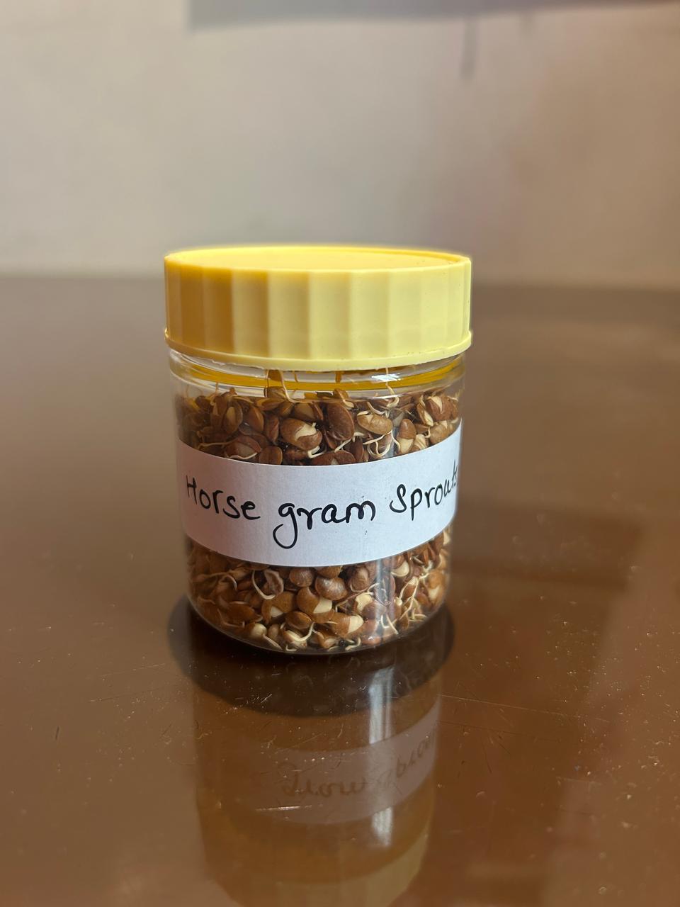 Horse Gram Sprouts
